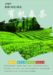 茶海报