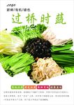 时蔬海报