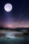 夜空