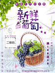 葡萄宣传海报