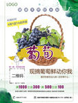 葡萄宣传海报