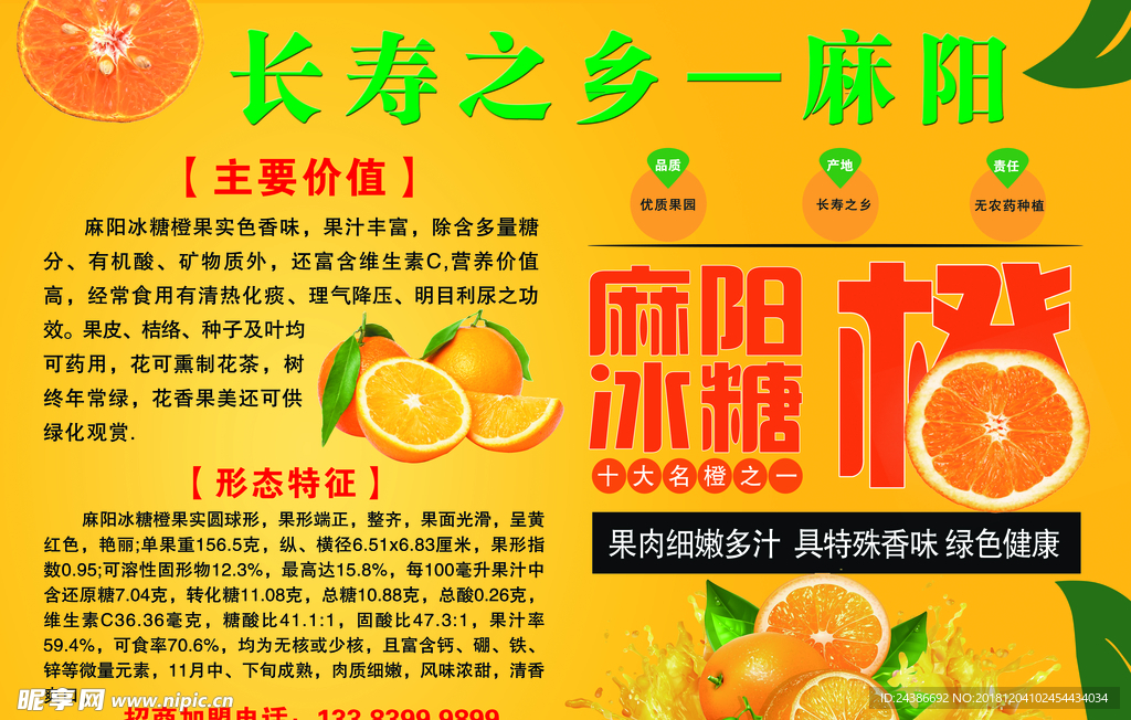 麻阳冰糖橙
