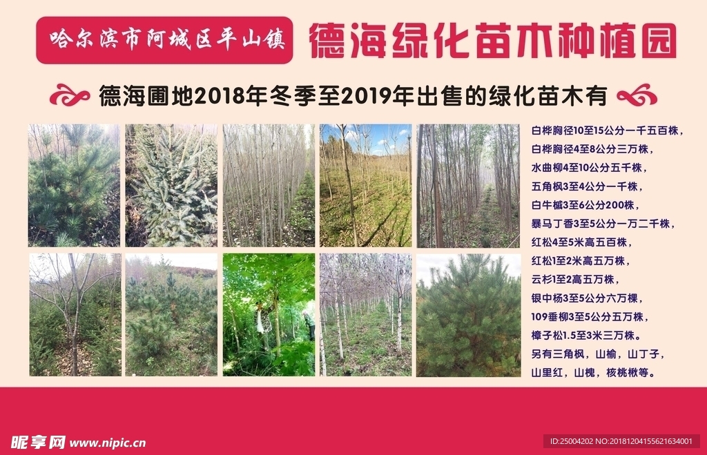 企业简介
