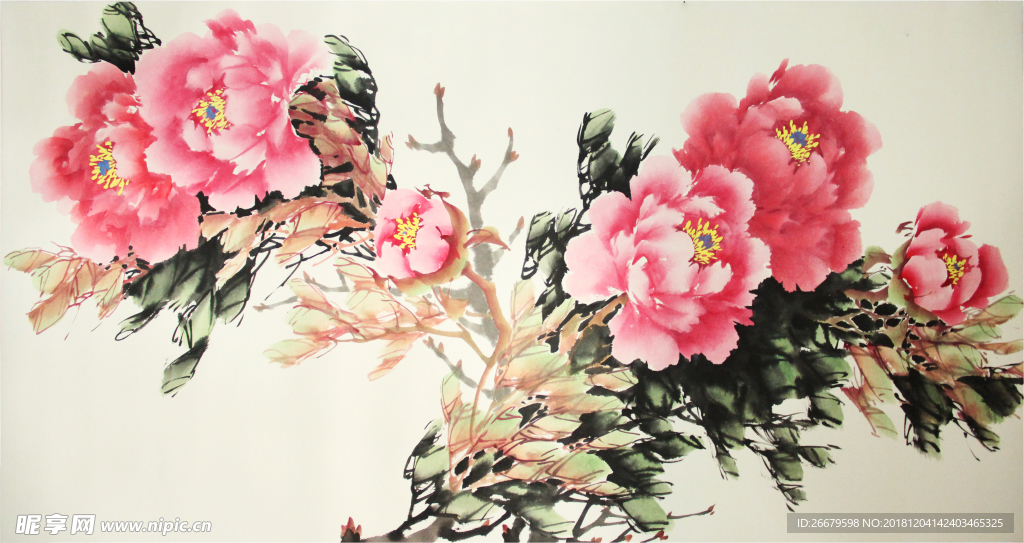 花开富贵水彩画