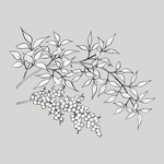 线稿 线描 简洁手绘 手绘画