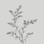 线稿 线描 简洁手绘 手绘画