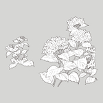线稿 线描 简洁手绘 手绘画
