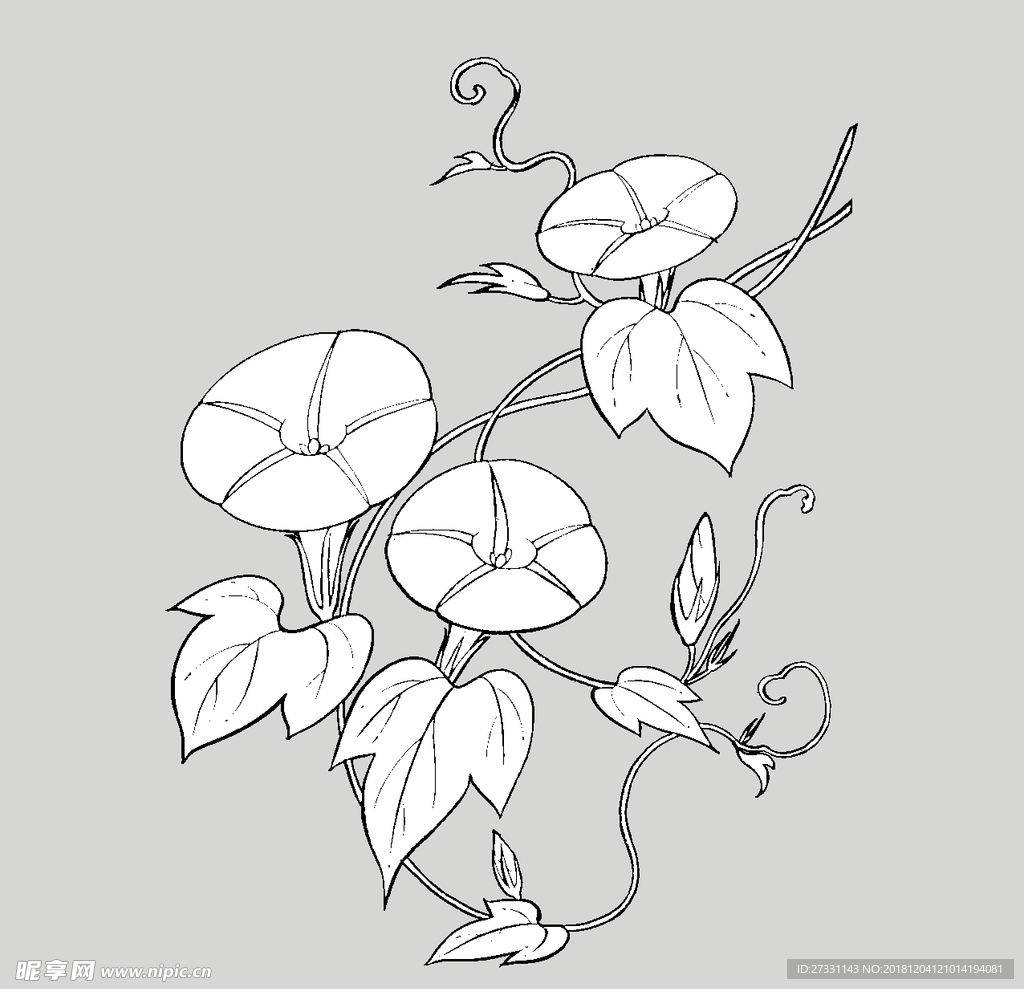 线稿 线描 简洁手绘 手绘画