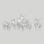 线稿 线描 简洁手绘 手绘画