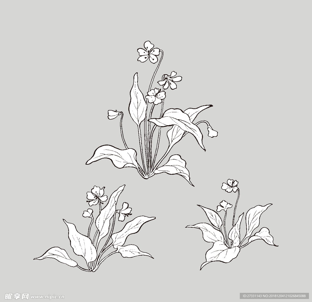 线稿 线描 简洁手绘 手绘画