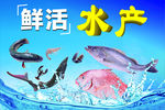 水产