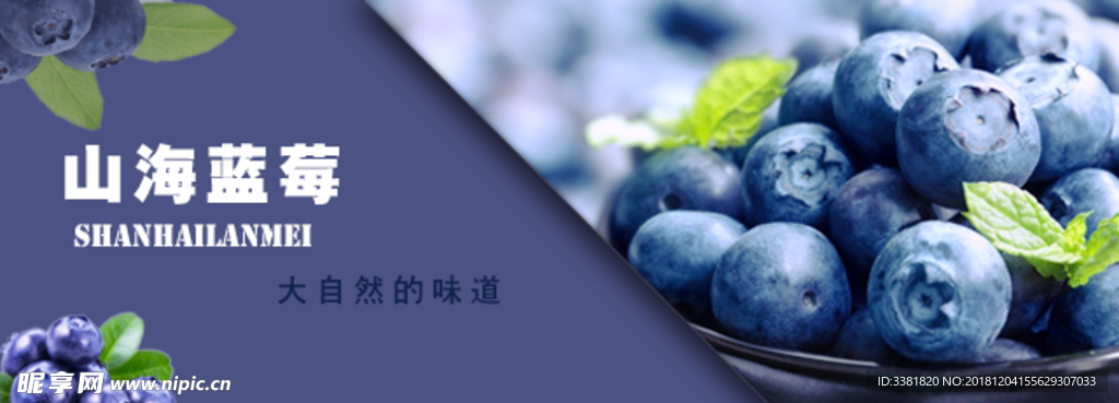 BANNER蓝莓