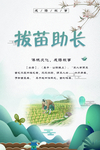 拔苗助长