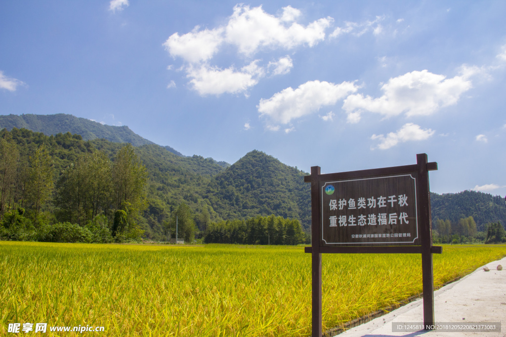 田园风光