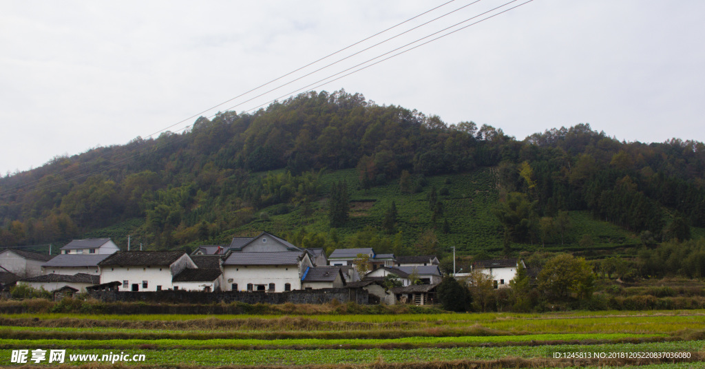 乡村田园