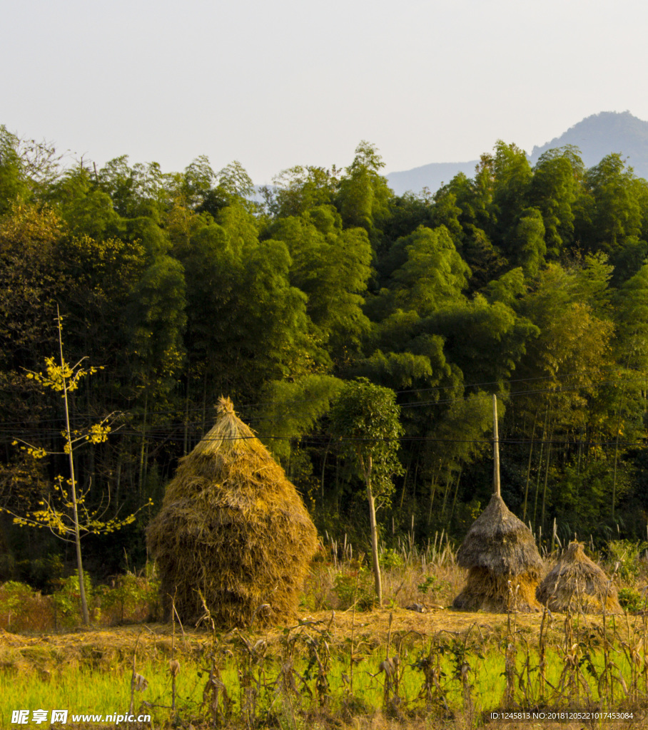 乡村小景