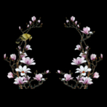 花鸟