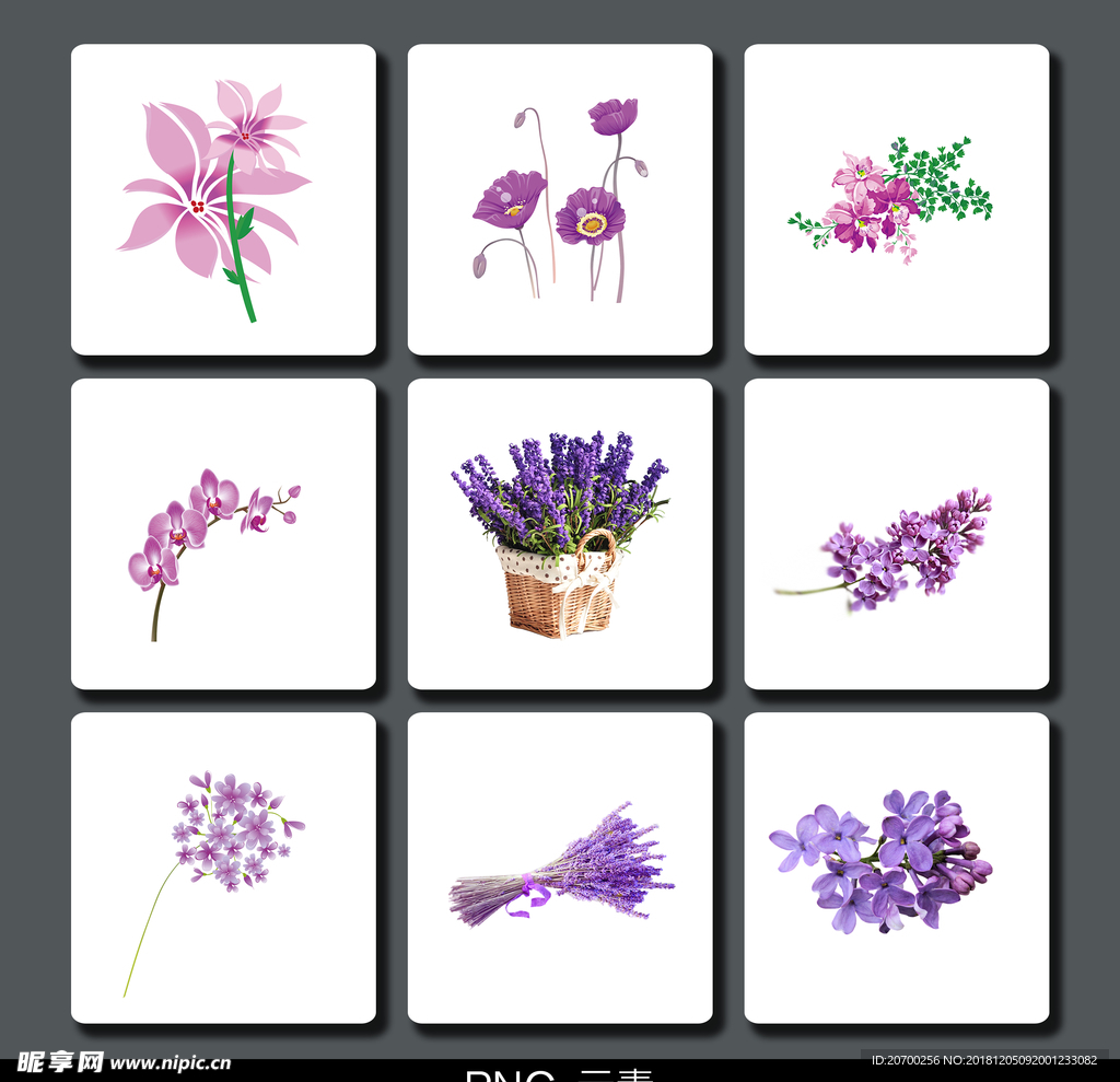 紫色花卉素材