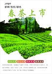 春茶海报
