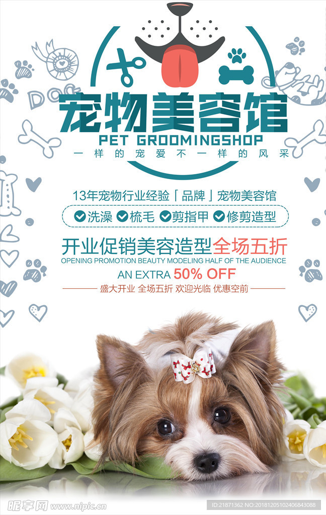 宠物 美容 爱狗 医院