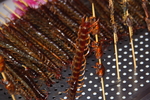 油炸蜈蚣
