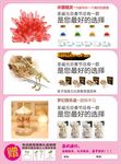 植物饰品单页