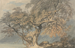 Turner 透纳画集