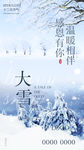 大雪海报