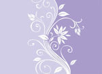 紫色系两色花背景