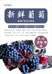 葡萄海报