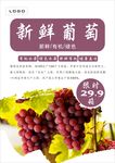 葡萄海报