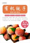 桃子海报