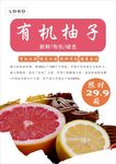 柚子海报