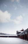 雪景