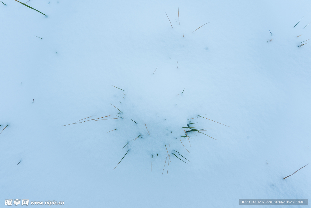 雪景