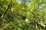 秋色 甘爵风光 山寨 仙寓山