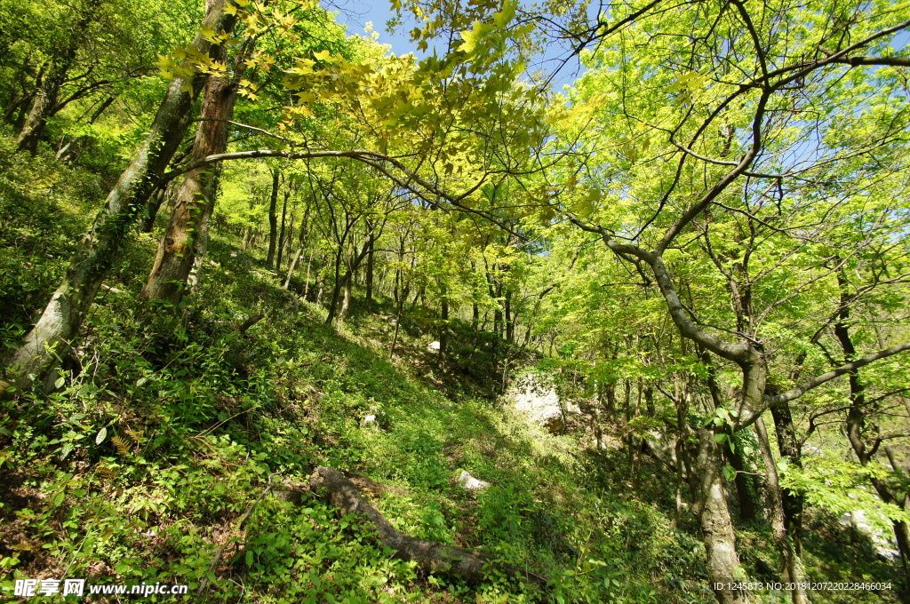 秋色 甘爵风光 山寨 仙寓山