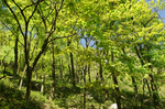 秋色 甘爵风光 山寨 仙寓山
