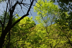 秋色 甘爵风光 山寨 仙寓山