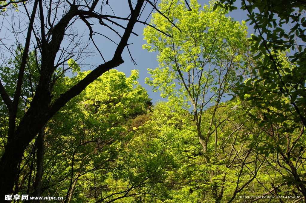 秋色 甘爵风光 山寨 仙寓山