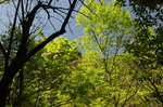 秋色 甘爵风光 山寨 仙寓山