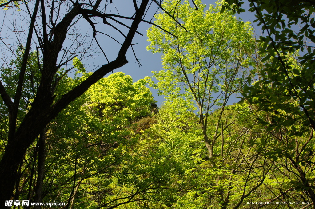 秋色 甘爵风光 山寨 仙寓山