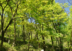 秋色 甘爵风光 山寨 仙寓山