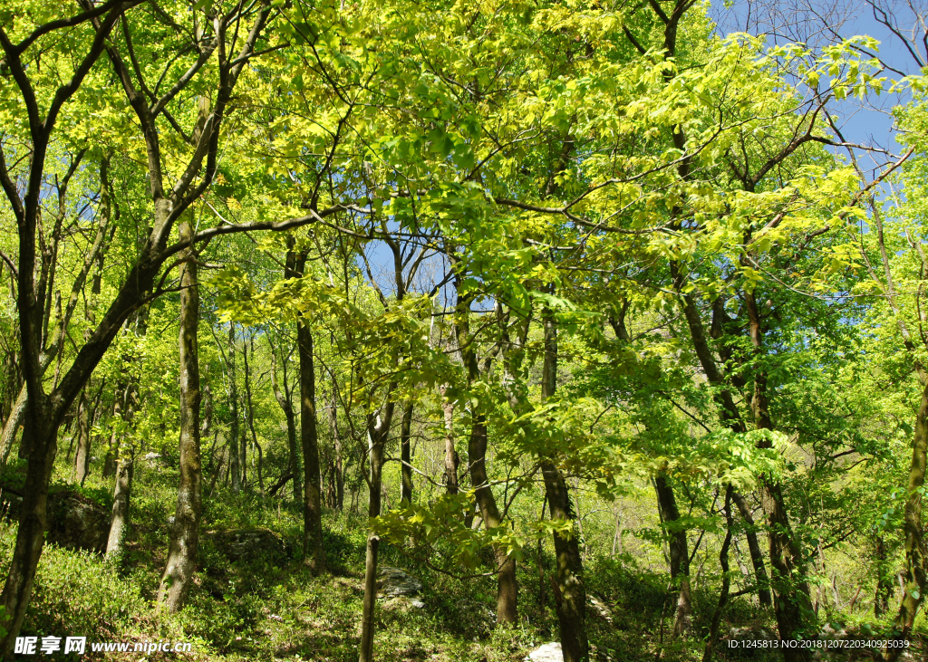 秋色 甘爵风光 山寨 仙寓山