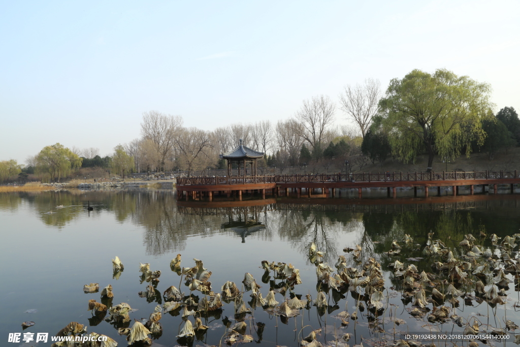 初冬圆明园