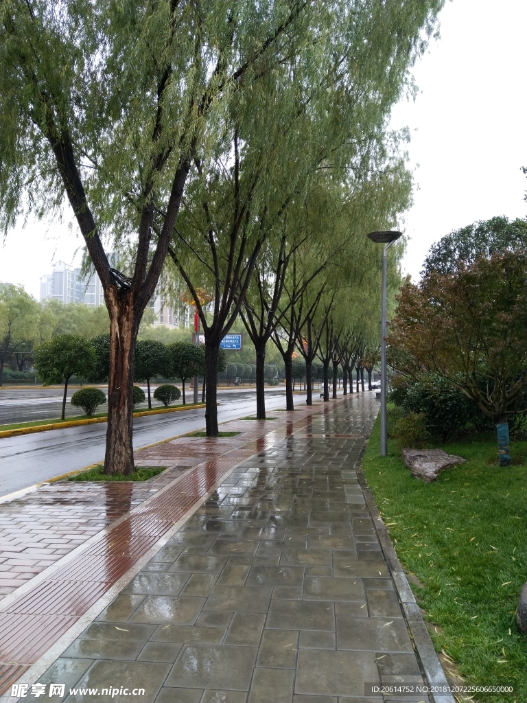 雨天的城市街道