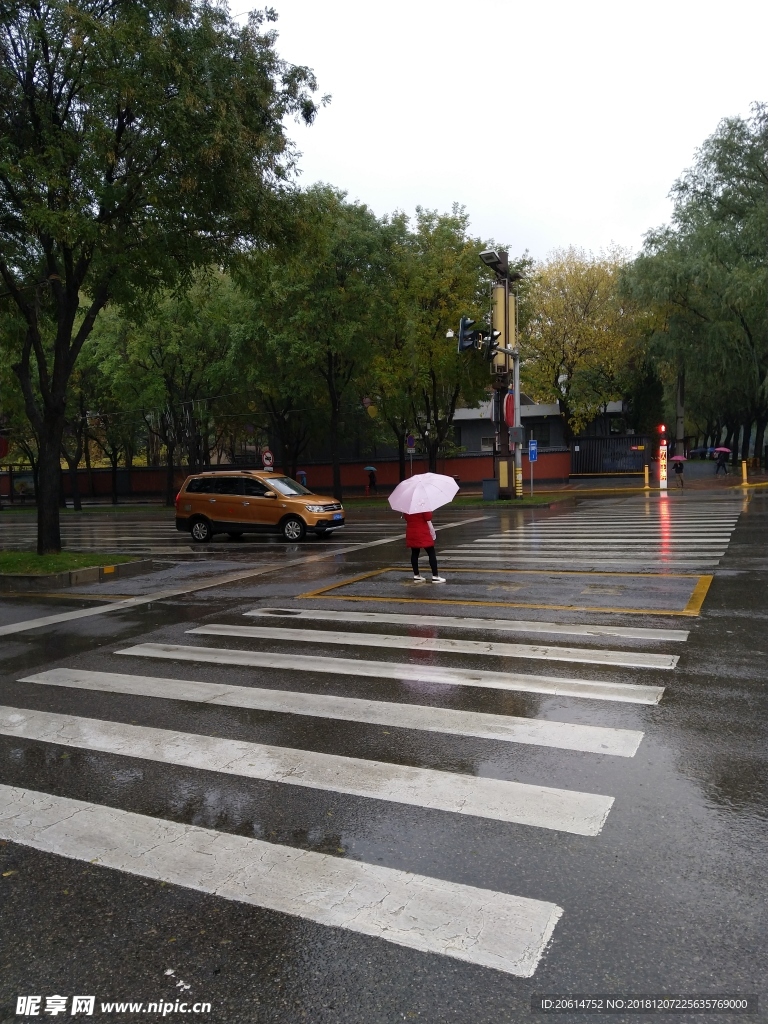 雨天的城市道路