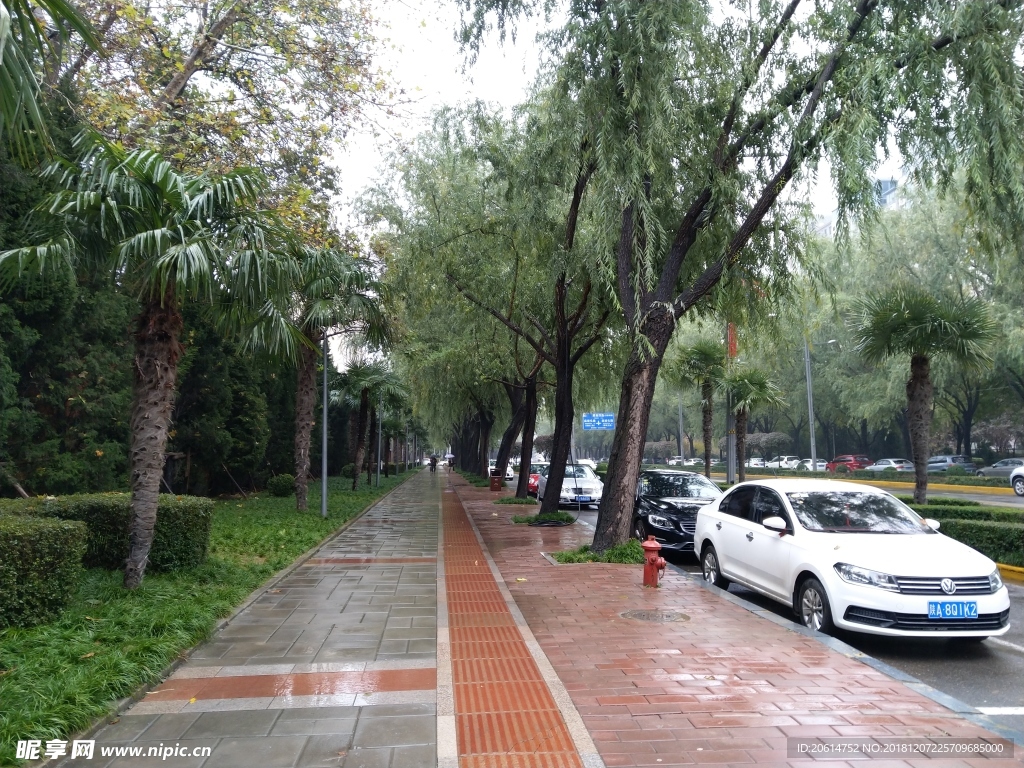 雨天的城市街道