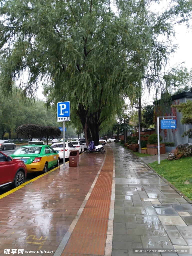 雨天的城市街道