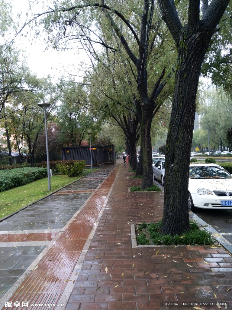 雨天的城市街道